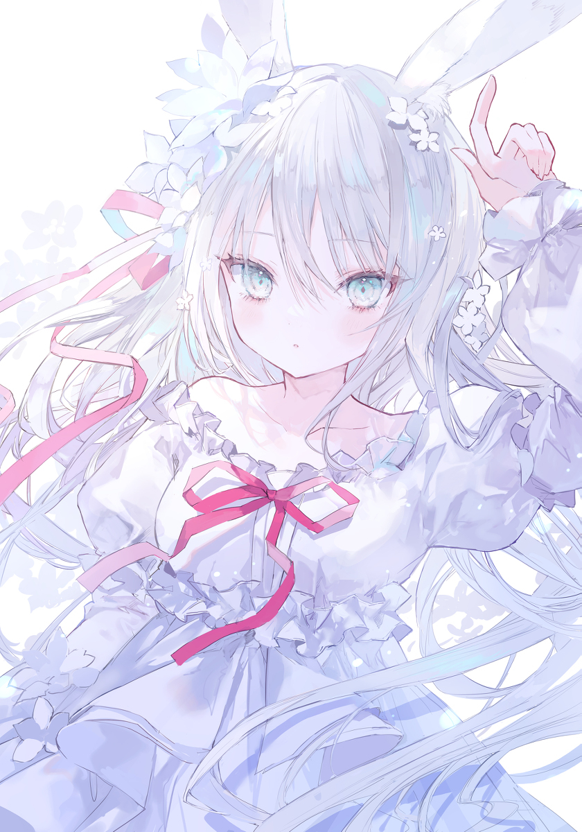兔子美