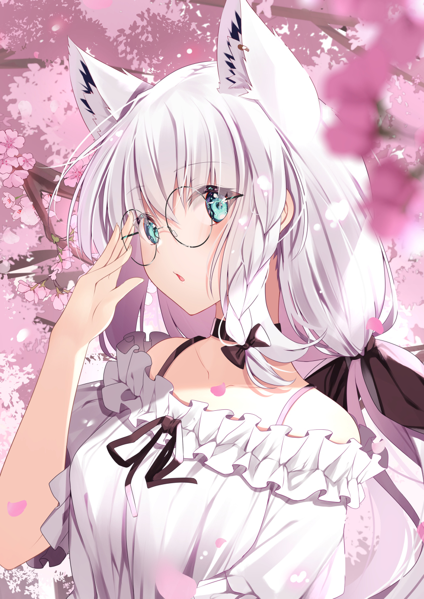 樱花眼镜夫布基先生