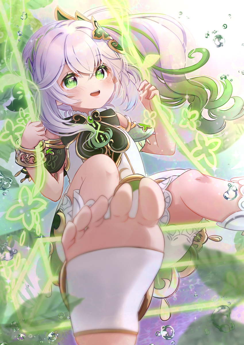 白草净华娜希达🌿