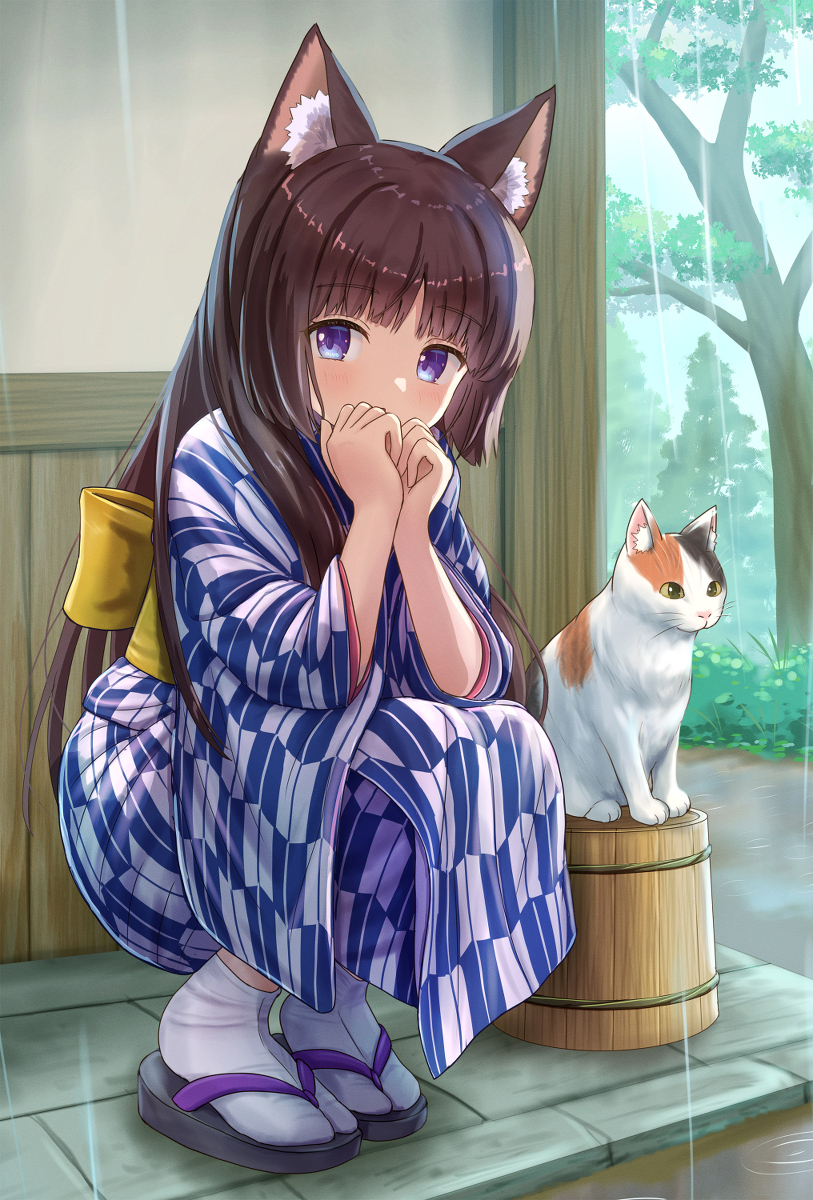 猫和避雨