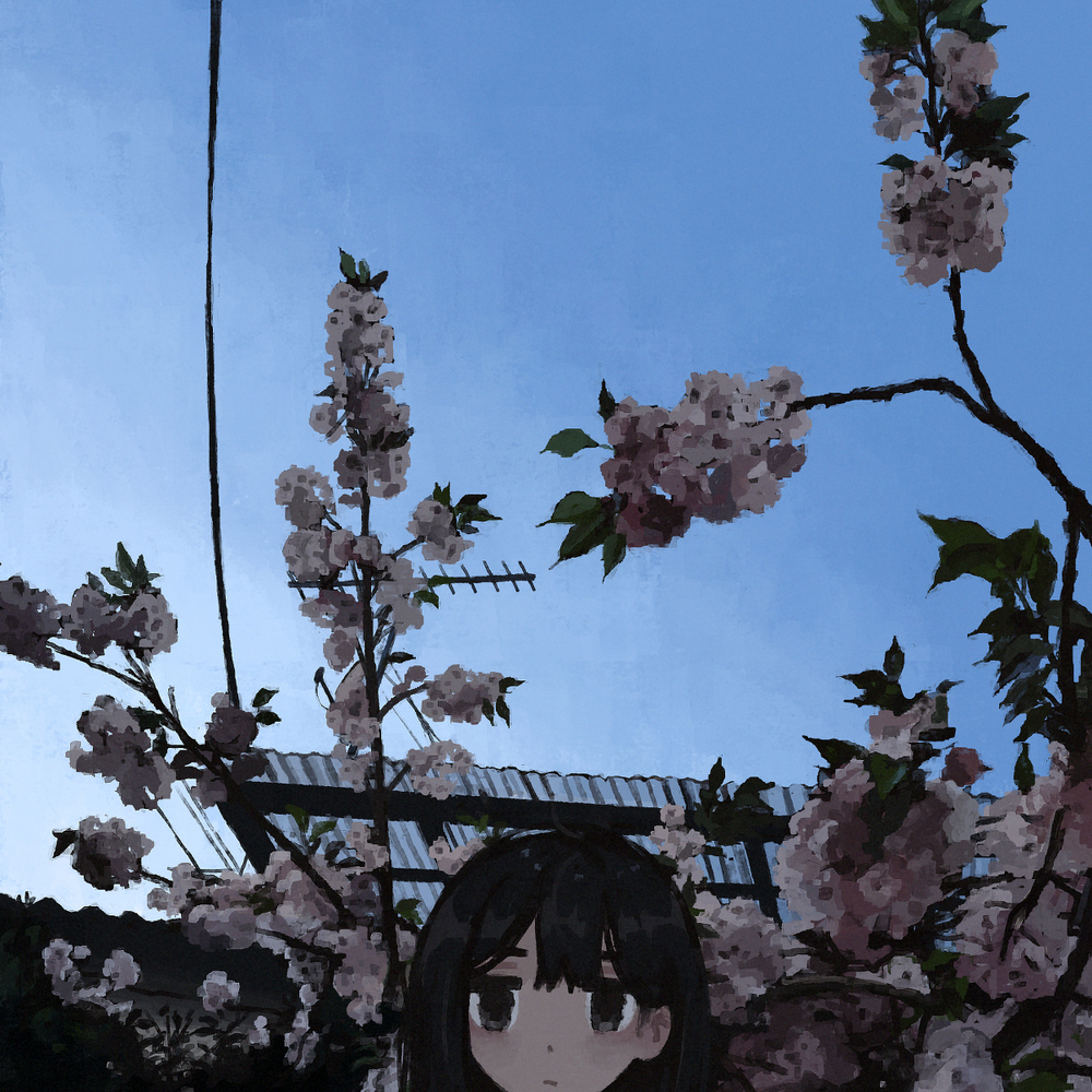 蓬松盛开