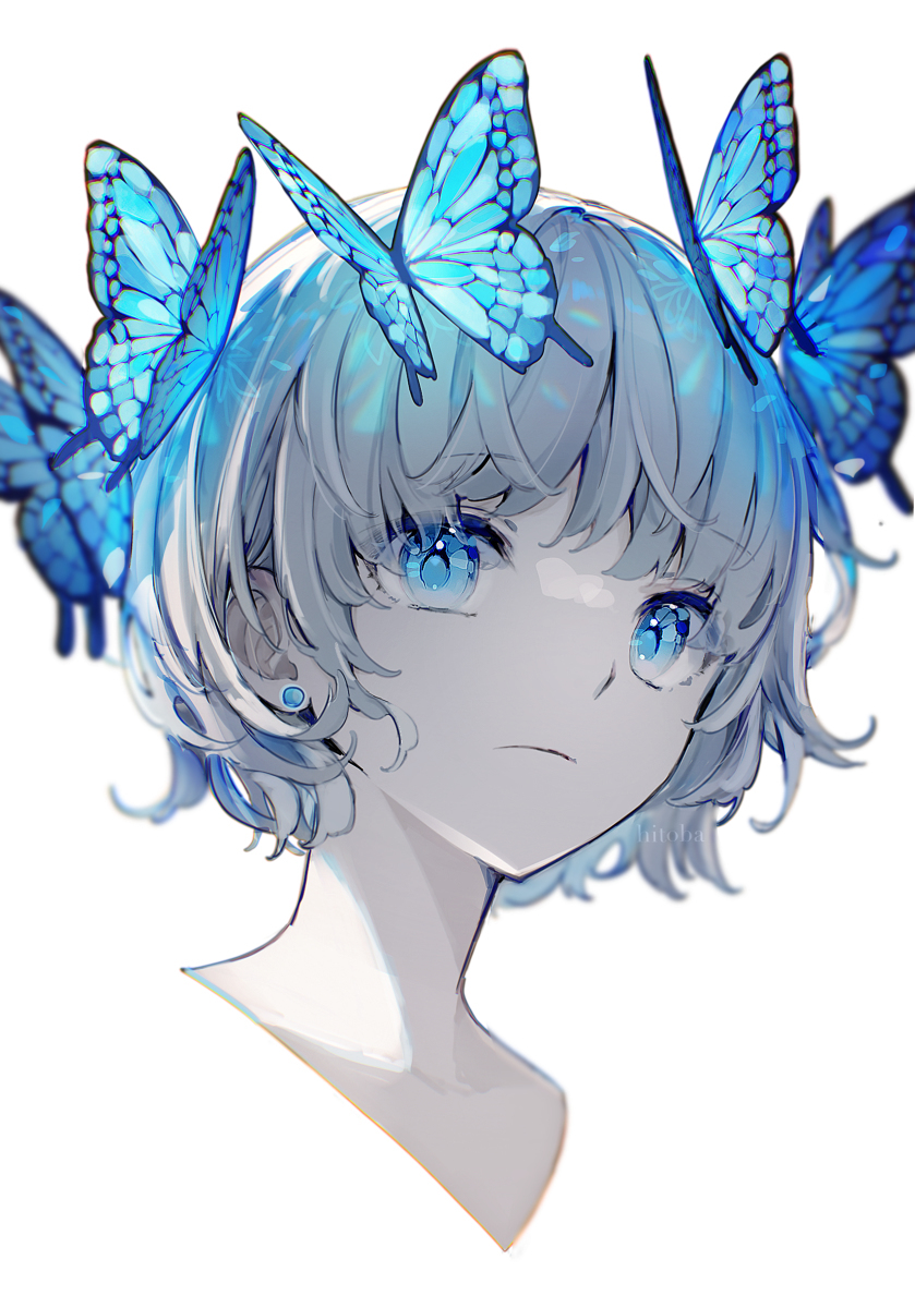 蝴蝶冠🦋