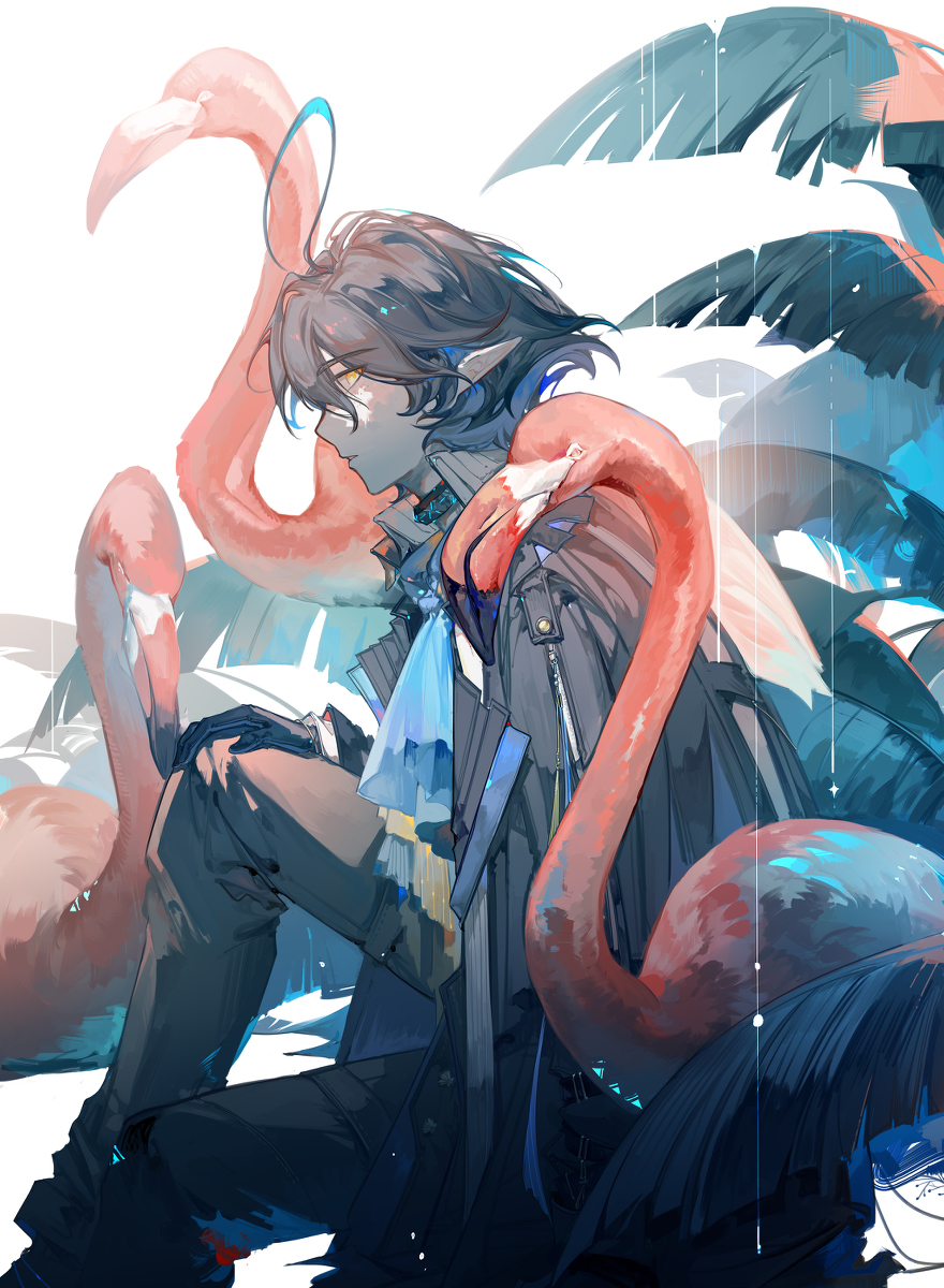 无题