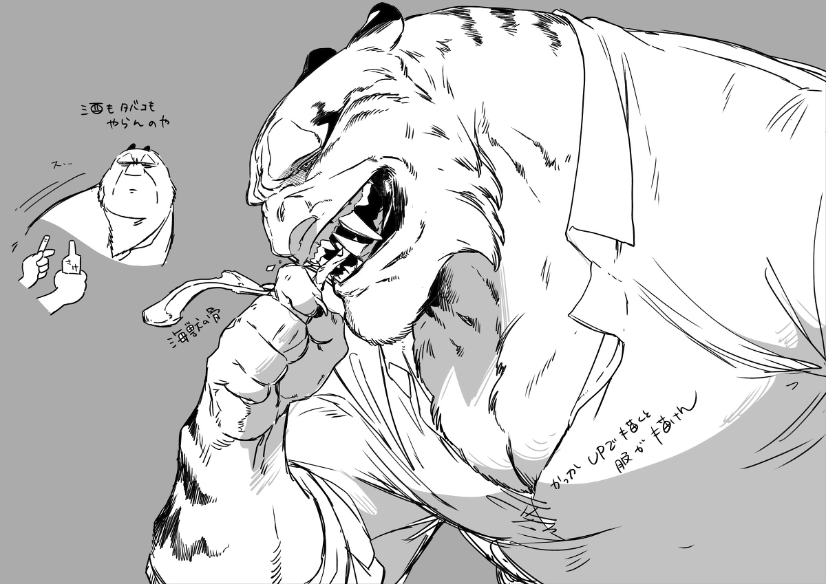 贼猫猫日志
