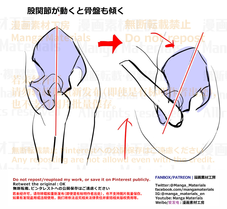 個人メモ：股関節と骨盤の動き