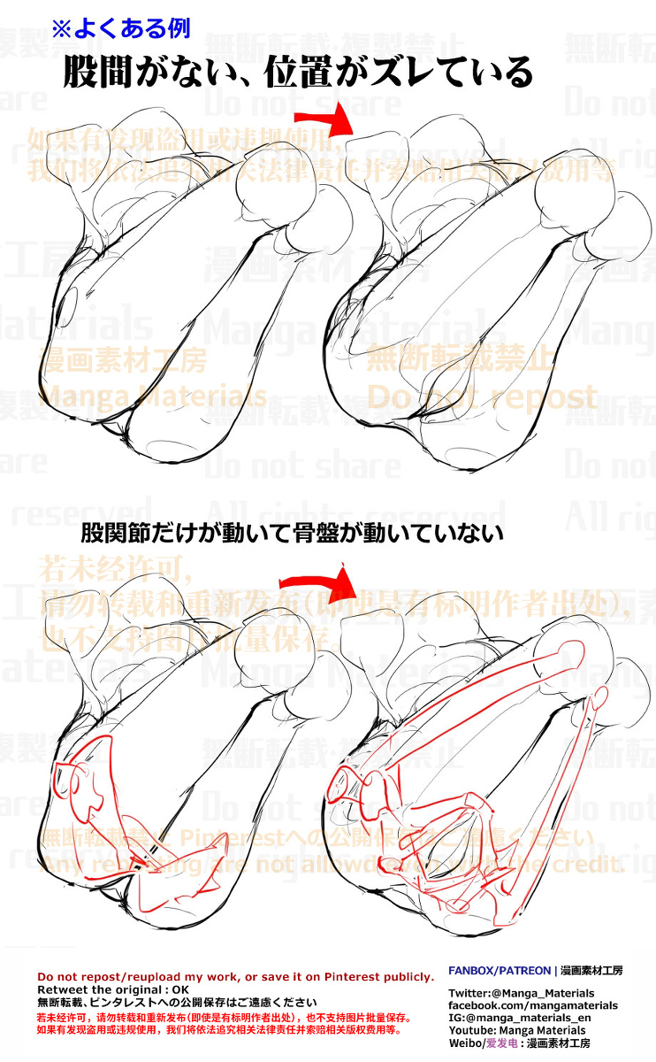個人メモ：股関節と骨盤の動き