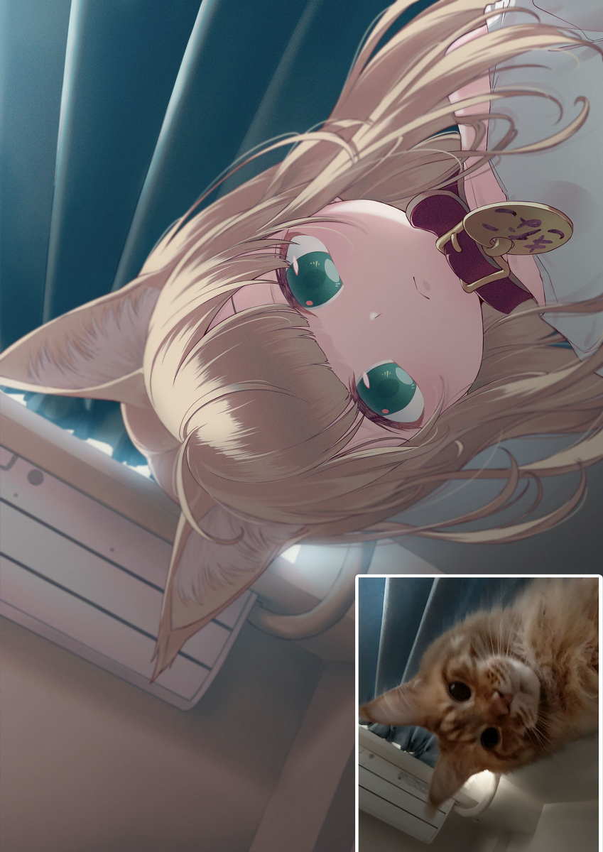 猫早安🐈🍚