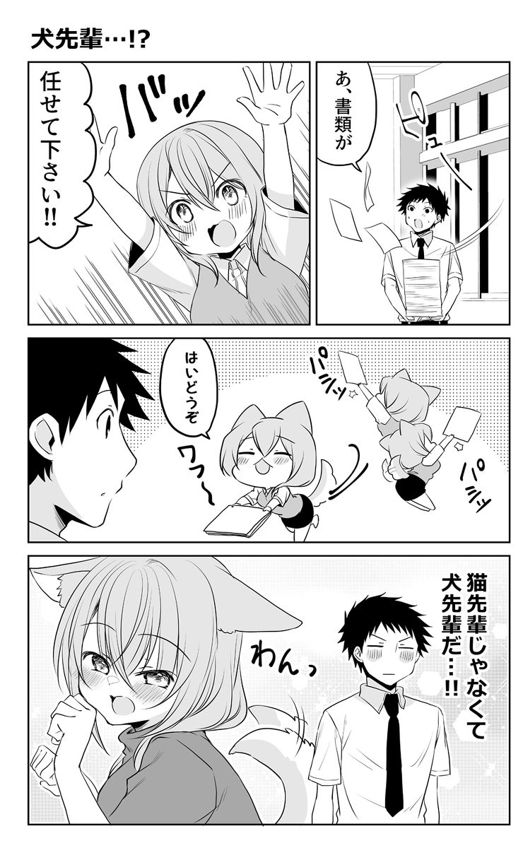 猫前辈。
