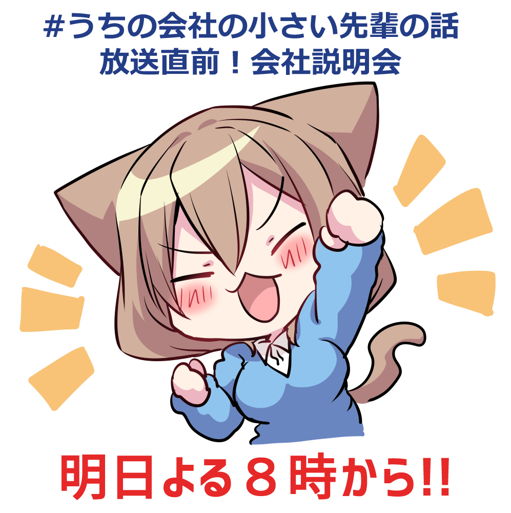 猫前辈。