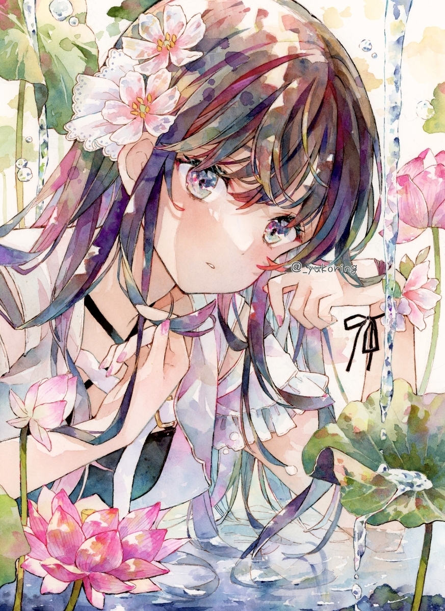 透明水彩 * 莲