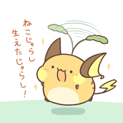 猫乱七八糟