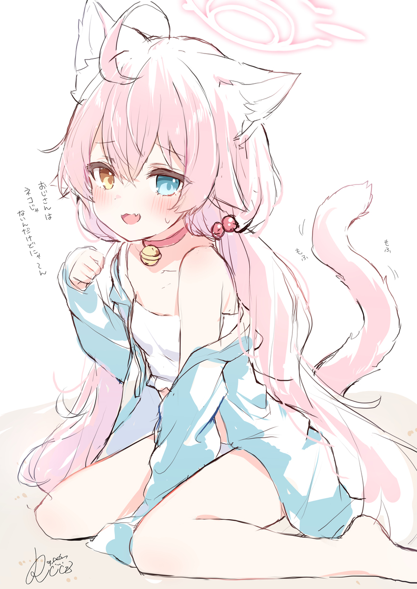 猫耳霍西诺