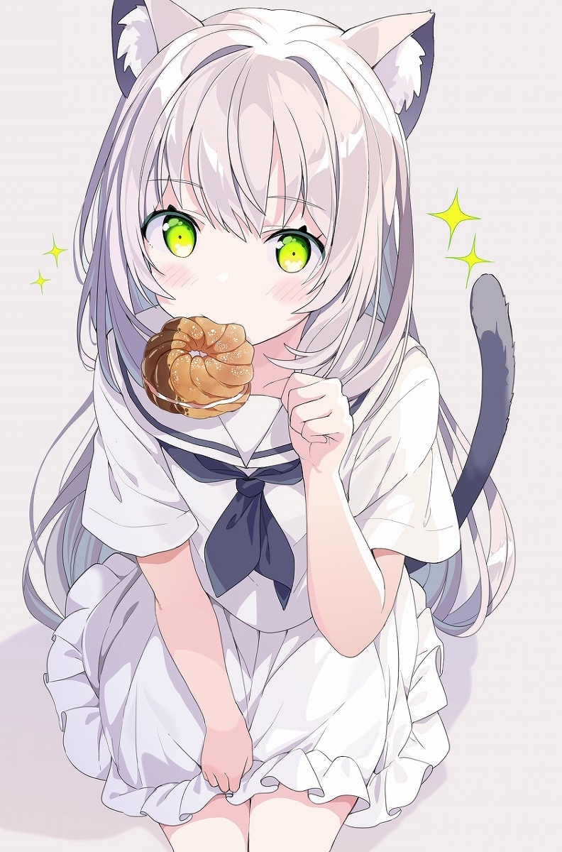 🐱🍩✨