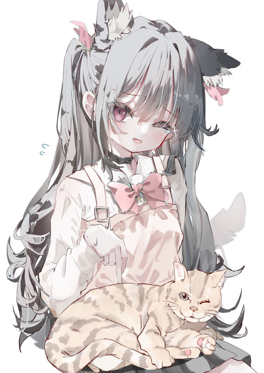猫拼盘