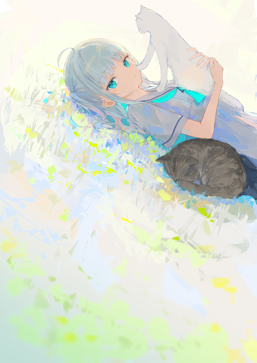 猫