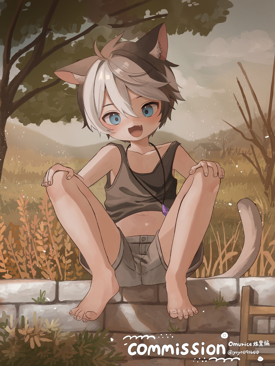 Commission!