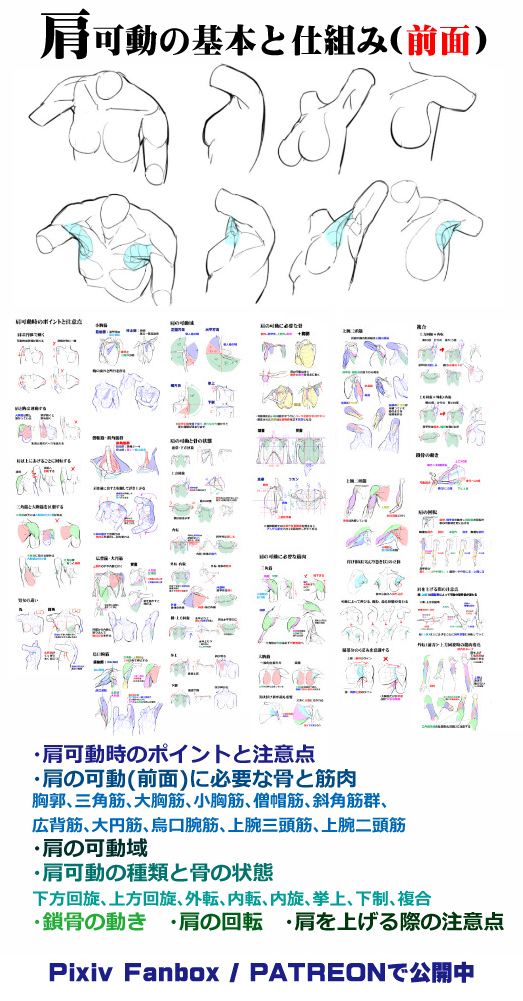 個人メモ：肩と*の連動