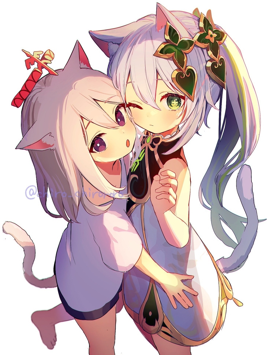 猫猫派蒙纳希达