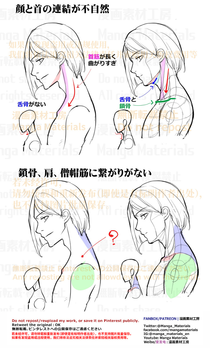 個人メモ：真横アングルの顔・首・肩の違和感と修正法