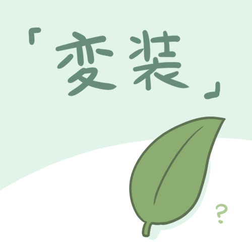 变装