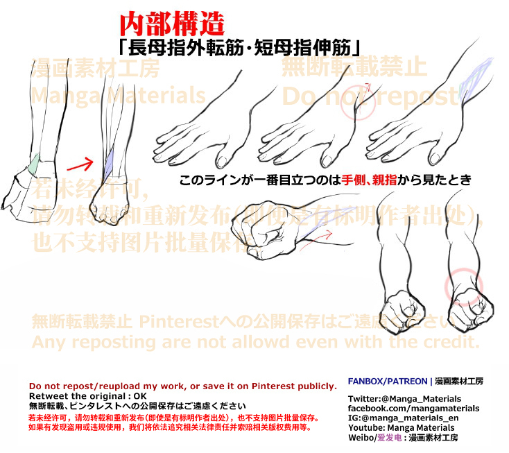 個人メモ：手首