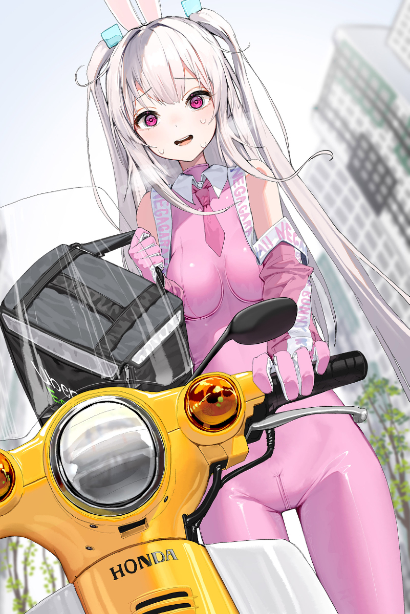 Superbunny