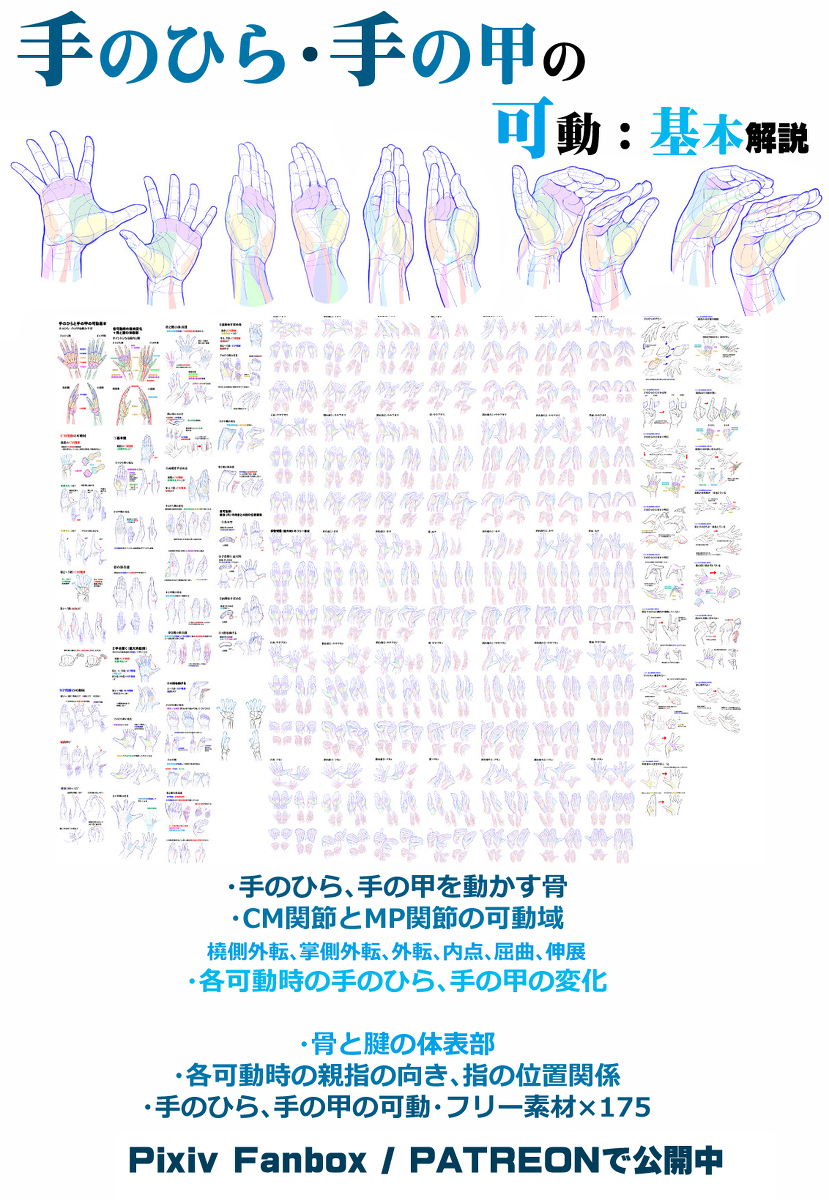 個人メモ：手の平のパーツを知る