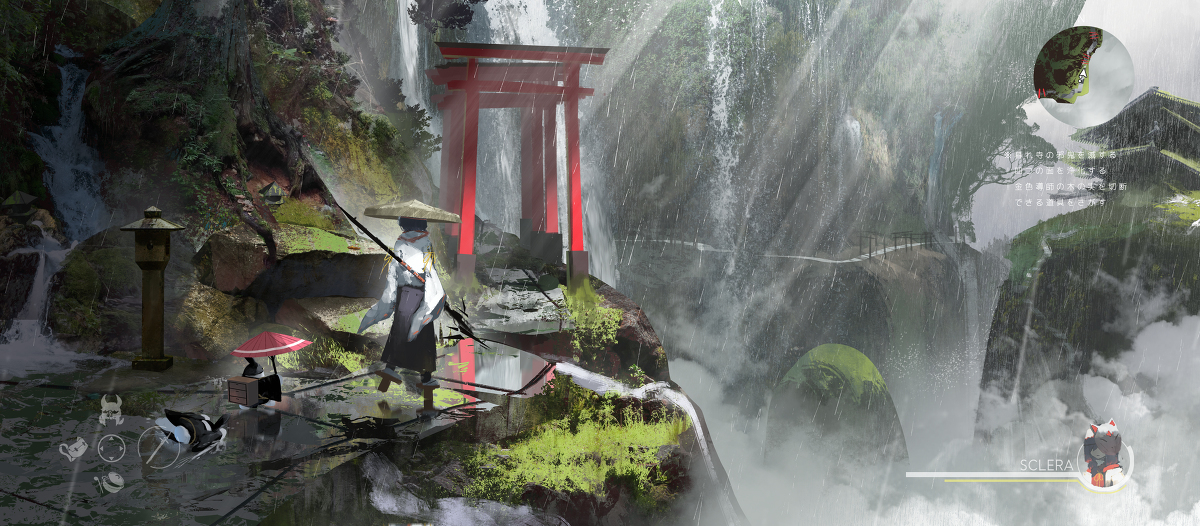 雨森林