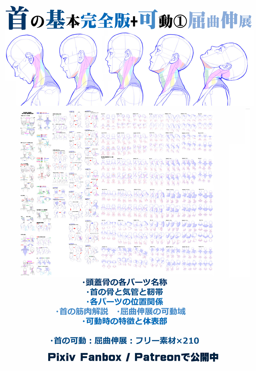 個人メモ：首の奥行きを表現する