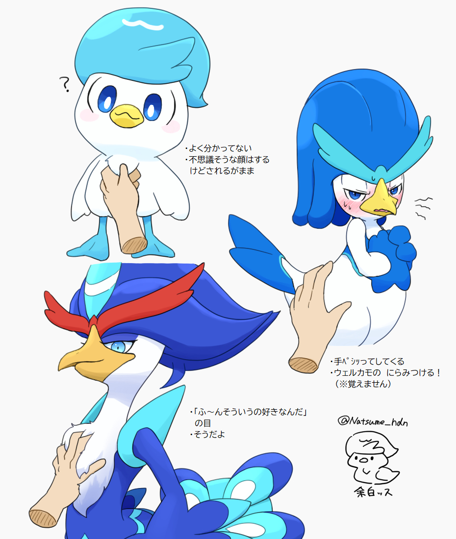 神奇宝贝画和总结2
