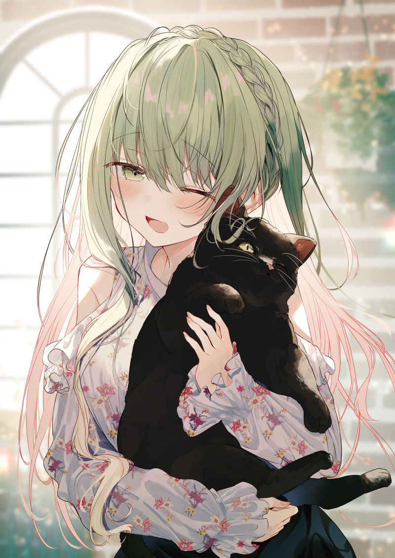 圣女大人和猫