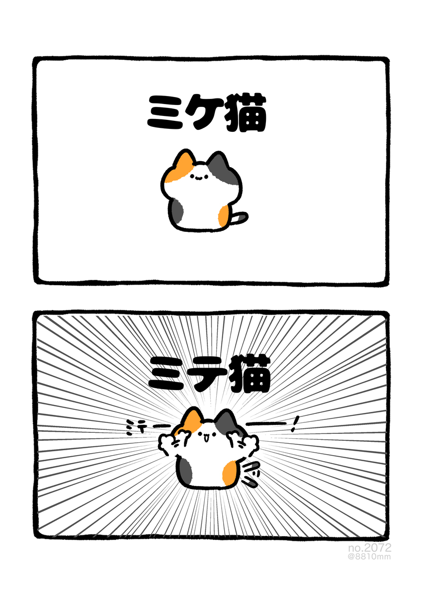No.2072《米蒂猫》