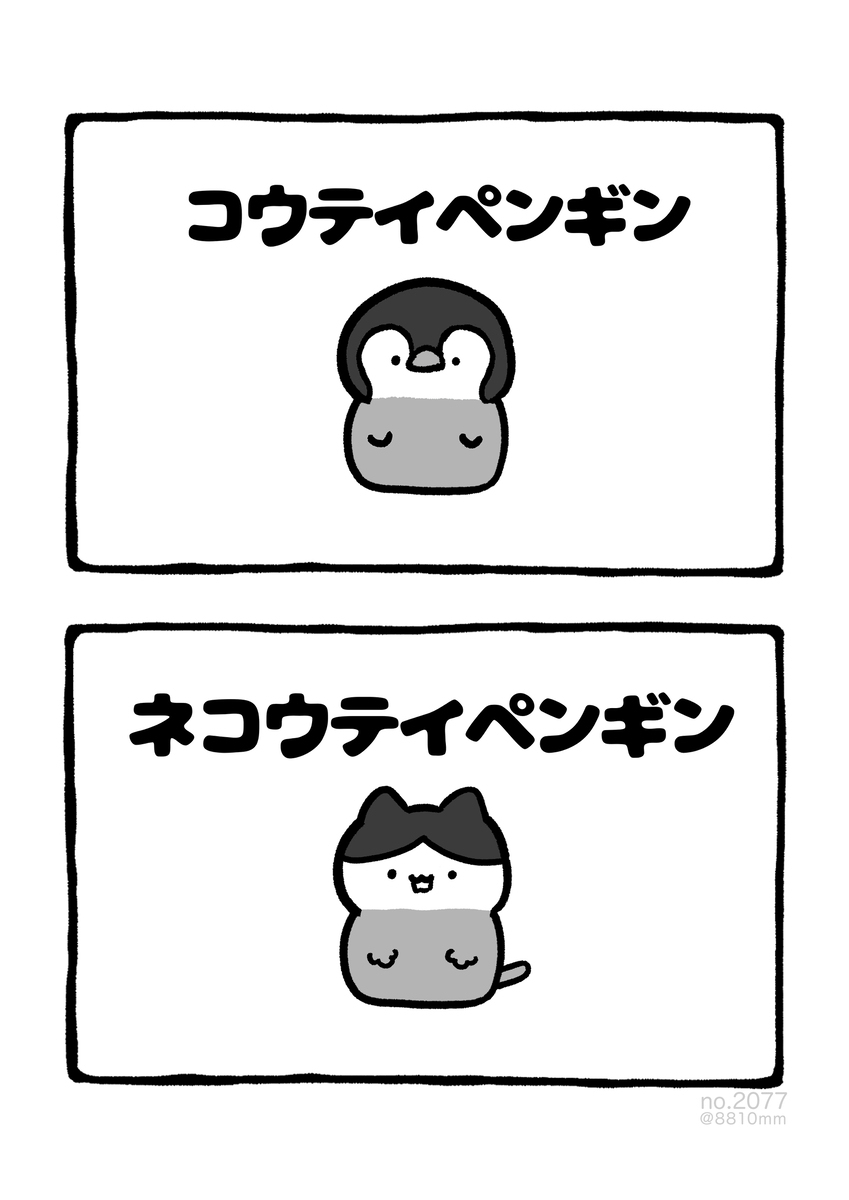 No.2077《猫鼬企鹅》