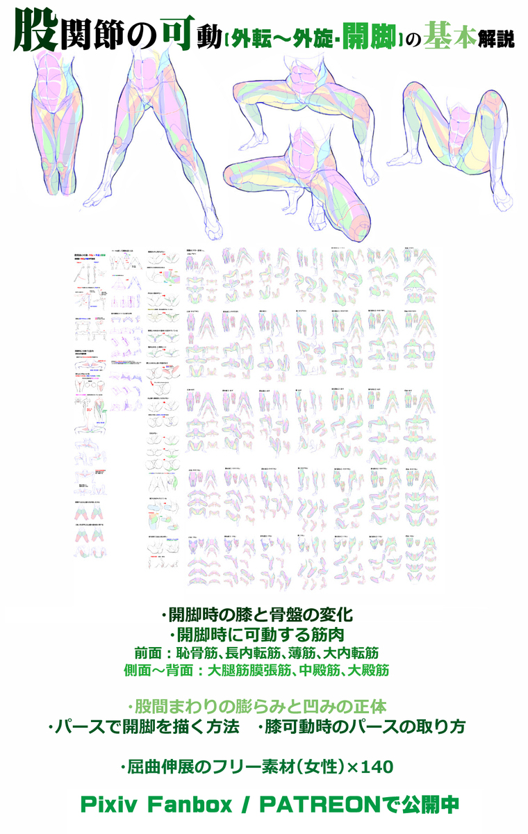 個人メモ：股関節可動時の*