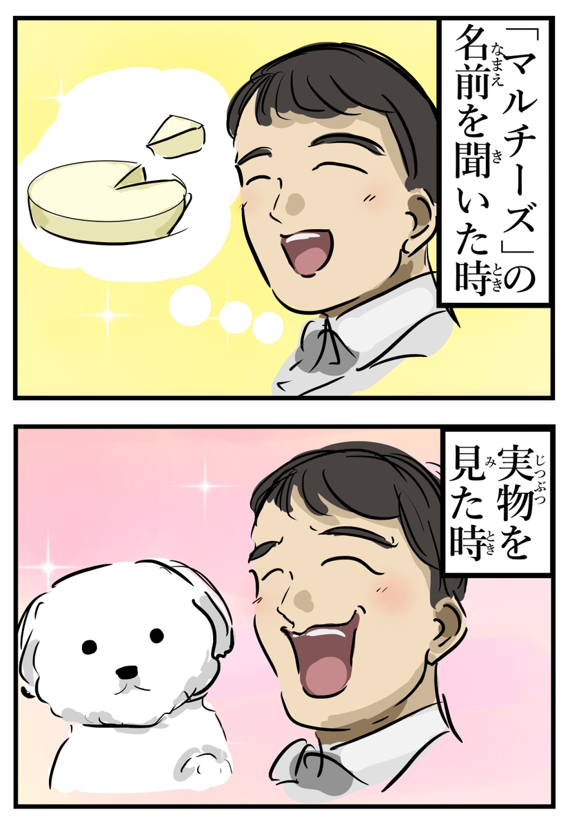 名字和外观。