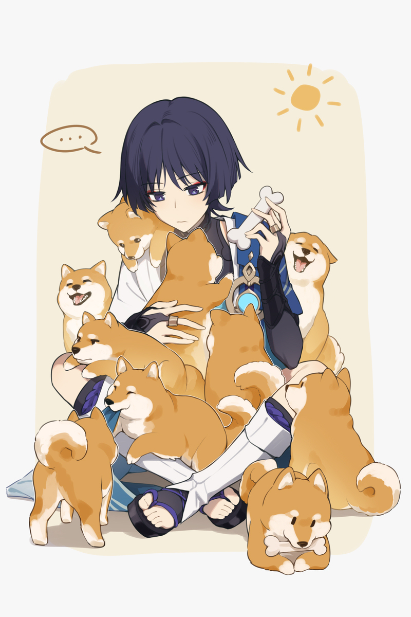 Dog/cat