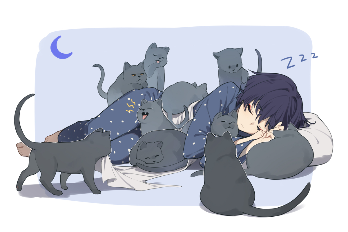 Dog/cat