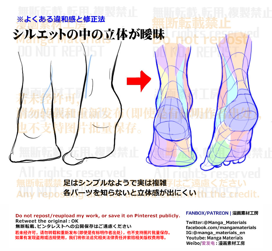 個人メモ：足の立体