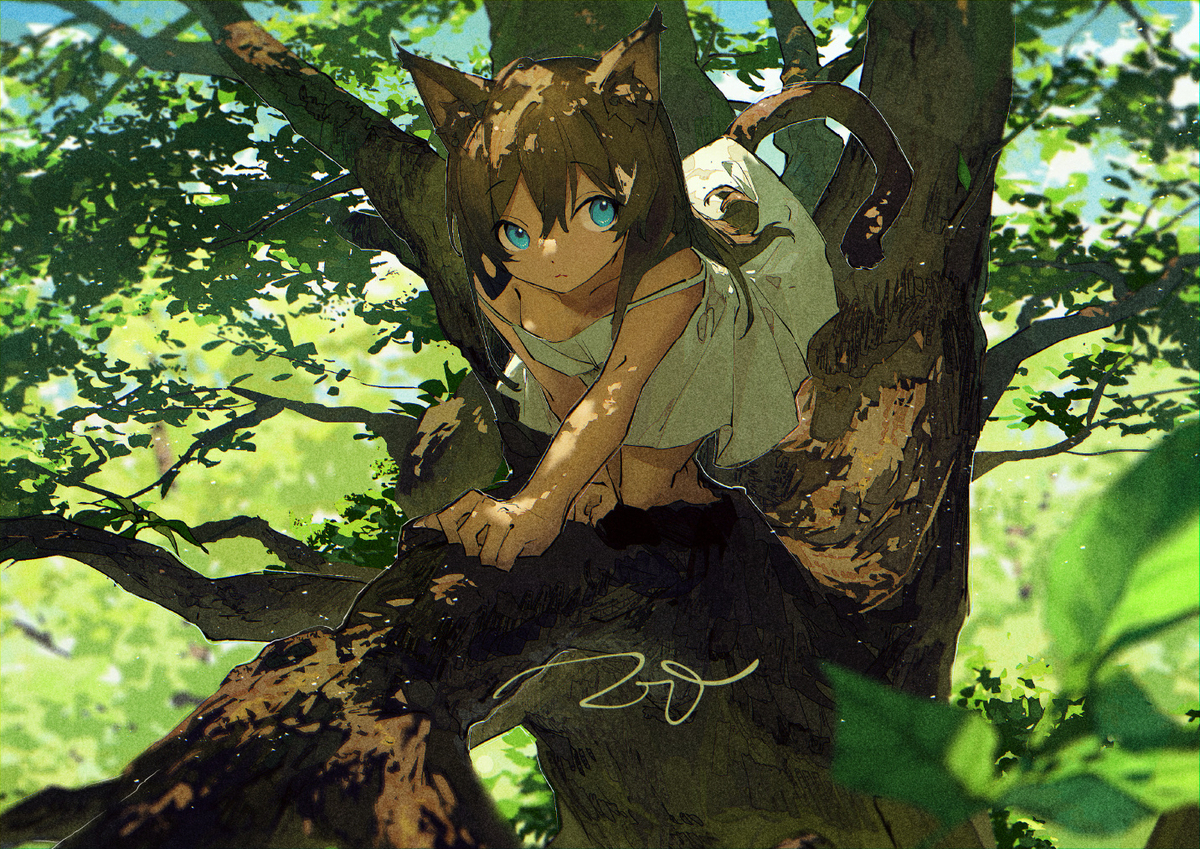蜻蜓