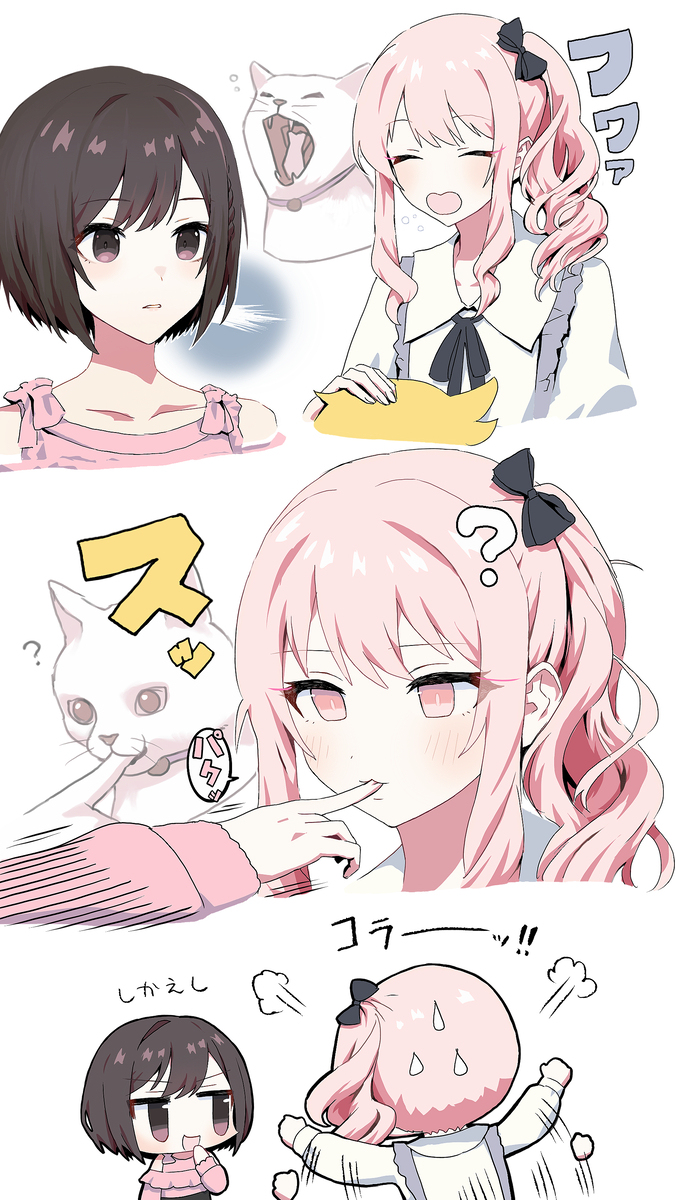 猫哈欠