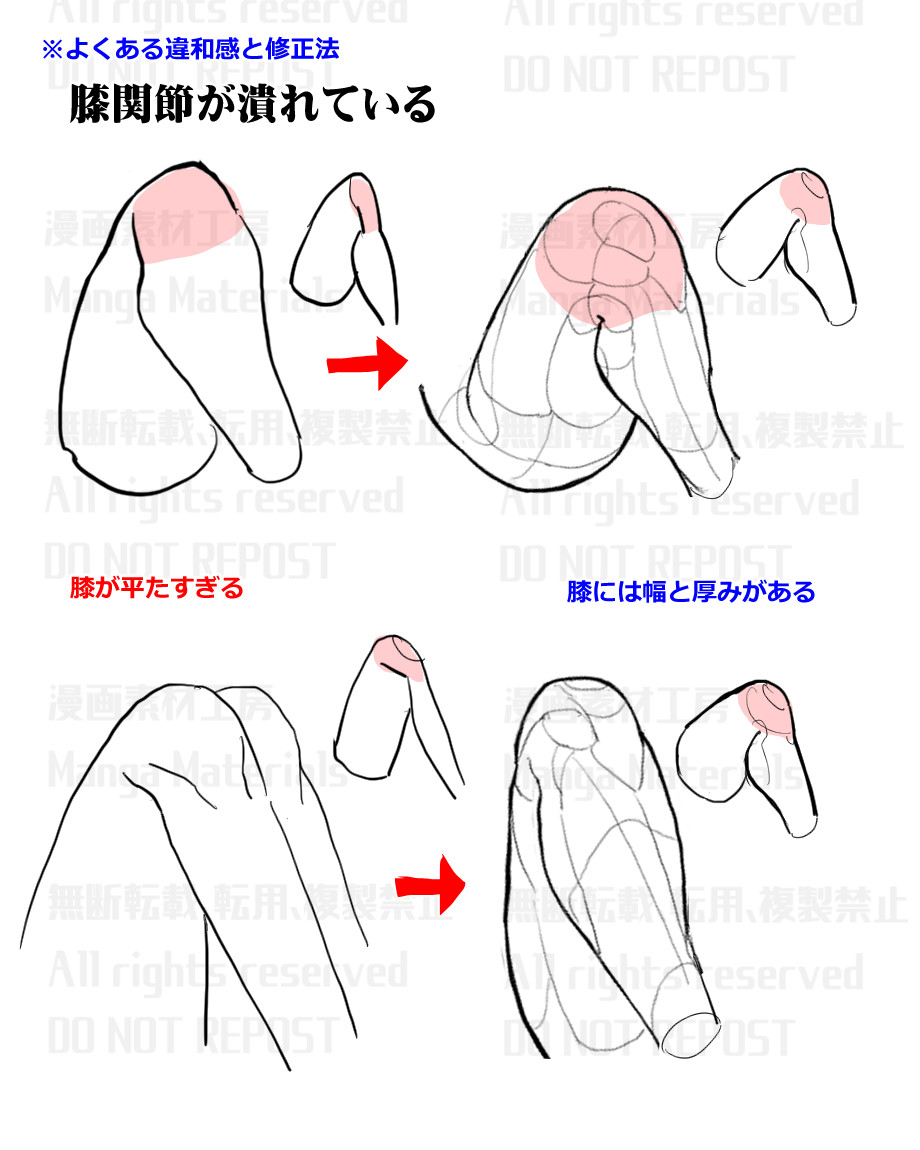 個人メモ：膝関節