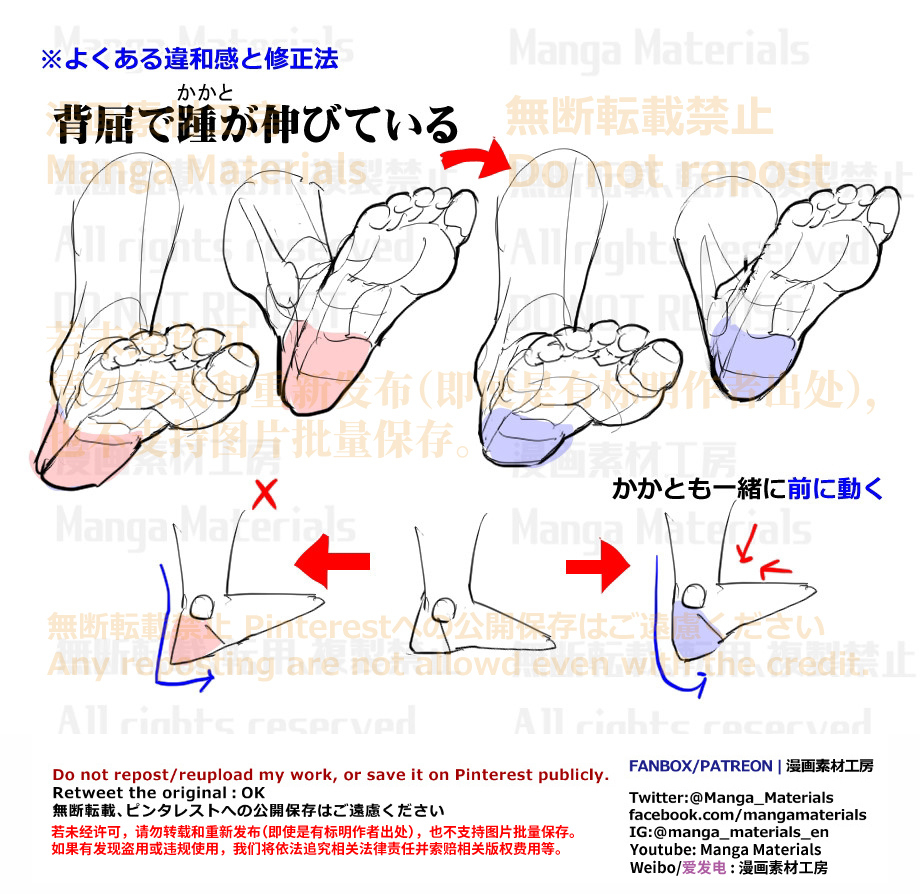 個人メモ：足の背屈可動