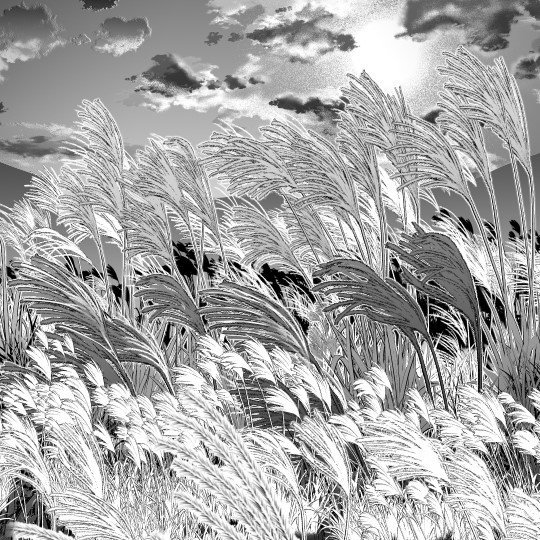 芒草刷4种