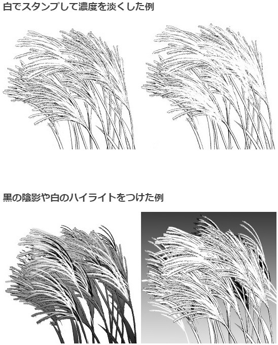 芒草刷4种