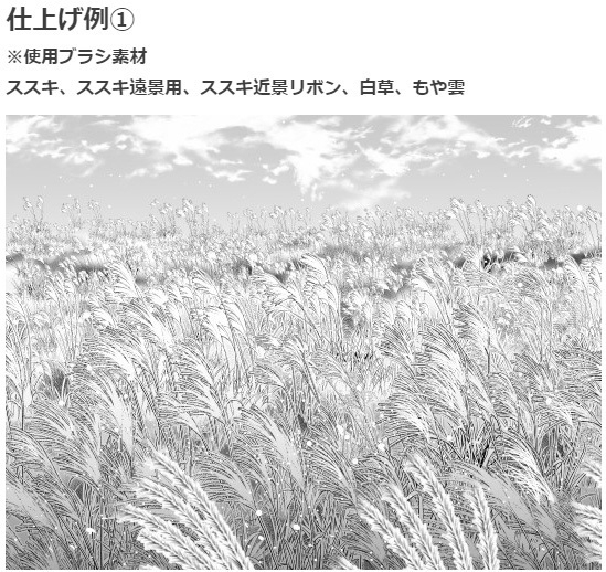 芒草刷4种