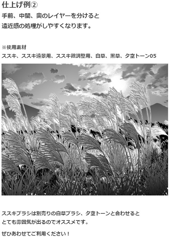芒草刷4种