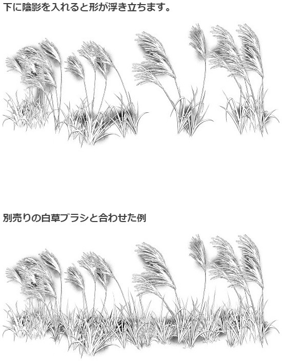 芒草刷4种