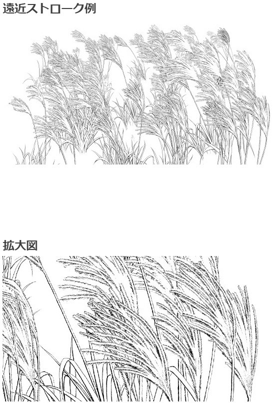 芒草刷4种