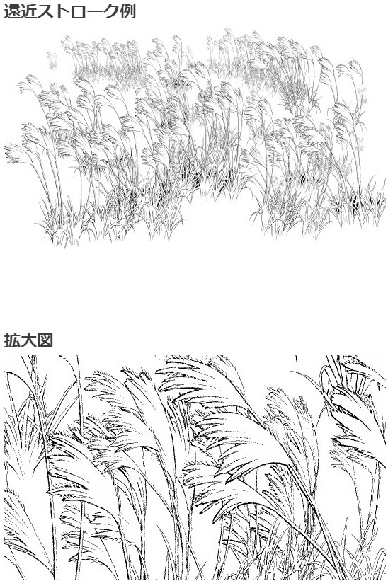芒草刷4种