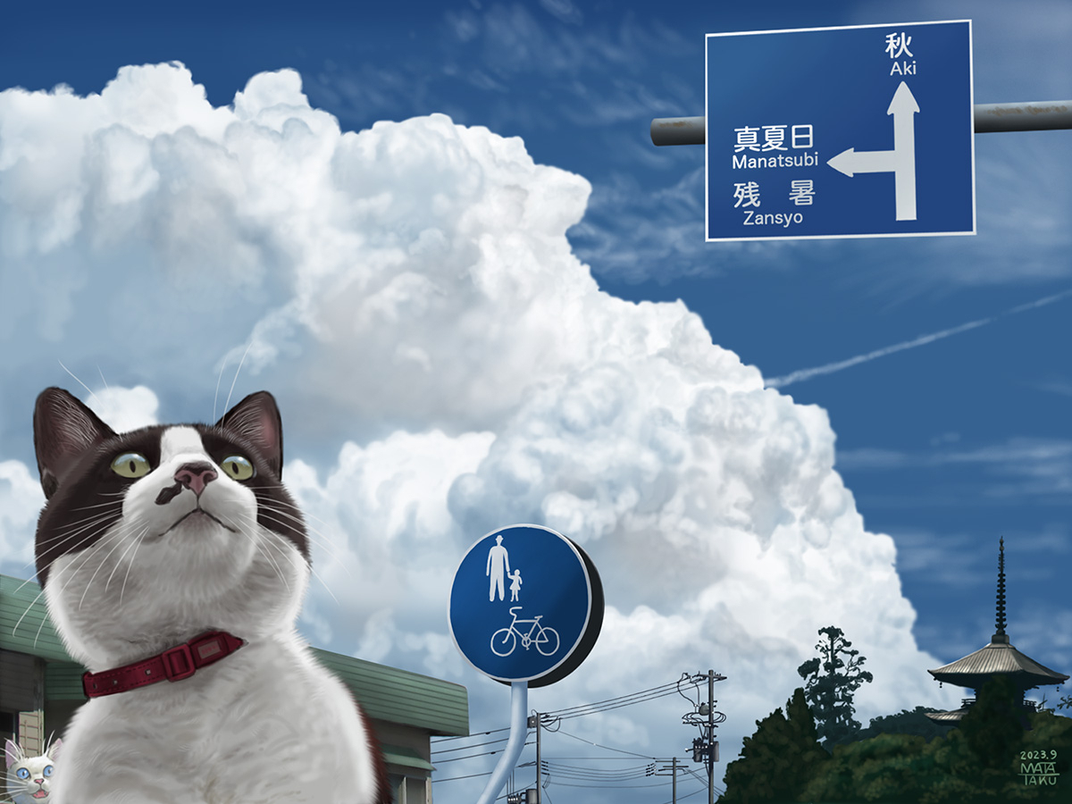 今年夏天真热啊